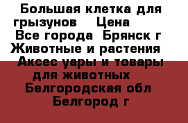 Большая клетка для грызунов  › Цена ­ 500 - Все города, Брянск г. Животные и растения » Аксесcуары и товары для животных   . Белгородская обл.,Белгород г.